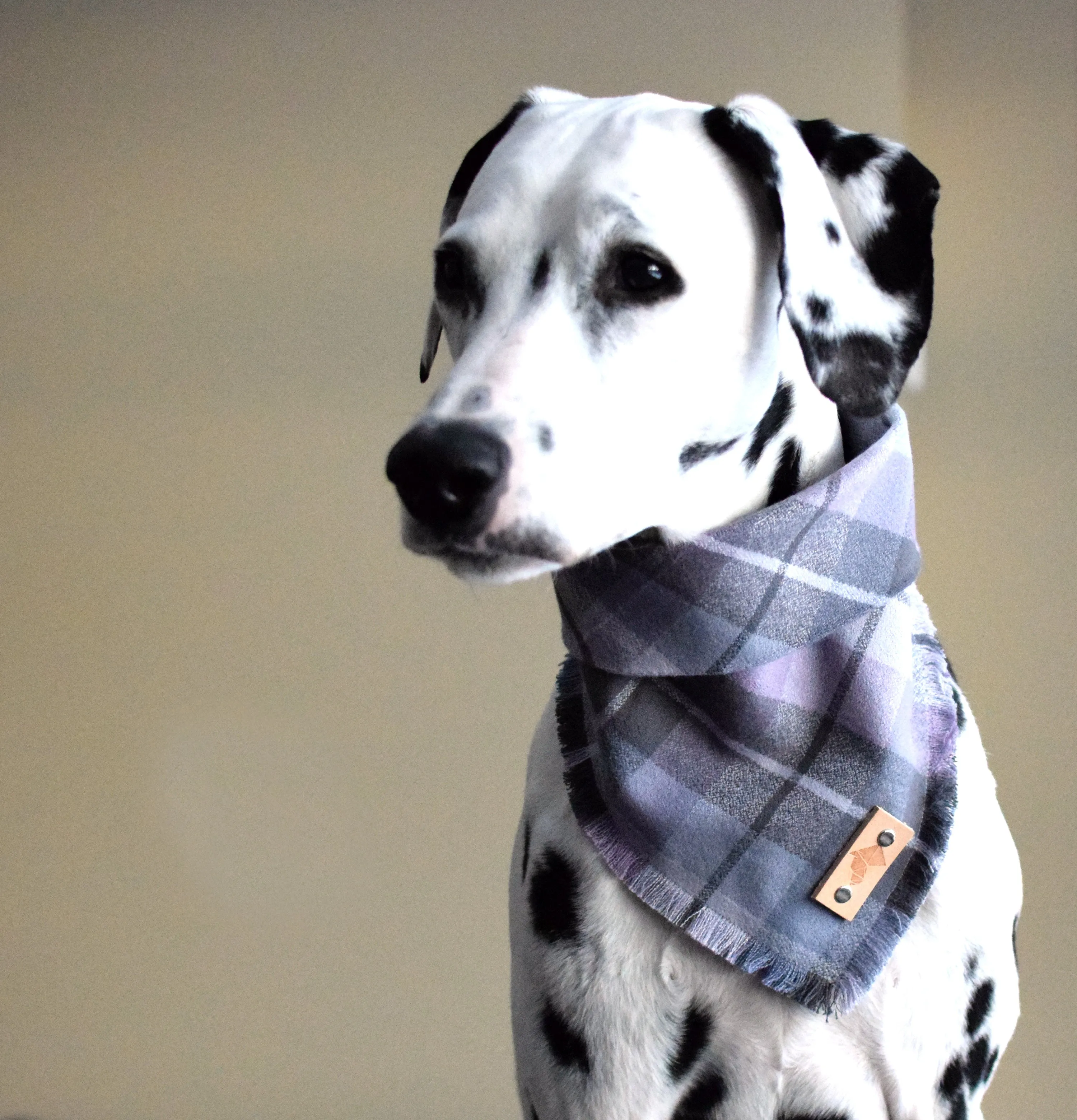 AMETHYST Fringed Flannel Dog Bandana - Snap/Tie On Cotton Scarf