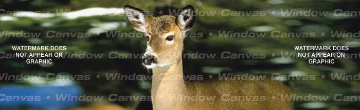 Winter Doe Rear Window Decal