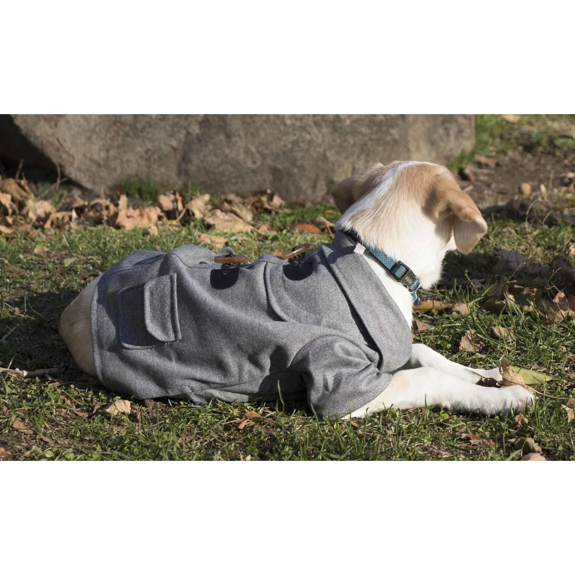 Wool Dog Coat